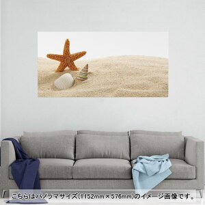 |X^[ EH[XebJ[ |XebJ[ pm}TCY |X^[XebJ[ V[XebJ[  1152mm×576mm ʐ^ tHg  CeA   wall sticker poster 009536 Lk