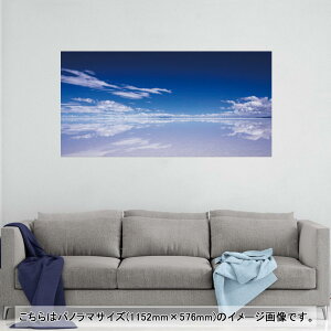|X^[ EH[XebJ[ |XebJ[ pm}TCY |X^[XebJ[ V[XebJ[  1152mm×576mm ʐ^ tHg  CeA   wall sticker poster 009610 i