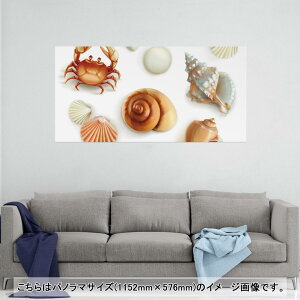 |X^[ EH[XebJ[ |XebJ[ pm}TCY |X^[XebJ[ V[XebJ[  1152mm×576mm ʐ^ tHg  CeA   wall sticker poster 009662 Lk
