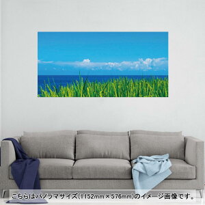 |X^[ EH[XebJ[ |XebJ[ pm}TCY |X^[XebJ[ V[XebJ[  1152mm×576mm ʐ^ tHg  CeA   wall sticker poster 009748 i