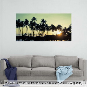 |X^[ EH[XebJ[ |XebJ[ pm}TCY |X^[XebJ[ V[XebJ[  1152mm×576mm ʐ^ tHg  CeA   wall sticker poster 010212 i
