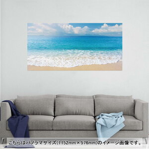 |X^[ EH[XebJ[ |XebJ[ pm}TCY |X^[XebJ[ V[XebJ[  1152mm×576mm ʐ^ tHg  CeA   wall sticker poster 011085 C@