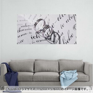 |X^[ EH[XebJ[ |XebJ[ pm}TCY |X^[XebJ[ V[XebJ[  1152mm×576mm ʐ^ tHg  CeA   wall sticker poster 011415 w
