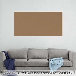 |X^[ EH[XebJ[ |XebJ[ pm}TCY |X^[XebJ[ V[XebJ[  1152mm×576mm ʐ^ tHg  CeA   wall sticker poster 012250 F