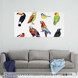 |X^[ EH[XebJ[ |XebJ[ pm}TCY |X^[XebJ[ V[XebJ[  1152mm×576mm ʐ^ tHg  CeA   wall sticker poster 014764 @