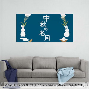 |X^[ EH[XebJ[ |XebJ[ pm}TCY |X^[XebJ[ V[XebJ[  1152mm×576mm ʐ^ tHg  CeA   wall sticker poster 015858 