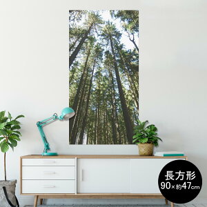 |X^[ EH[XebJ[ ` V[XebJ[  90×47cm Lsize `  CeA @ wall sticker poster 002581 iF@i@ʐ^