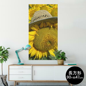 |X^[ EH[XebJ[ ` V[XebJ[  90×47cm Lsize `  CeA @ wall sticker poster 002800 Ђ܂@ԁ@ʐ^