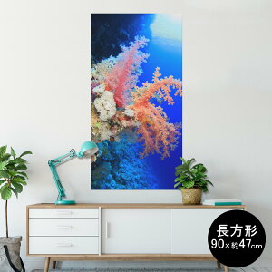 |X^[ EH[XebJ[ ` V[XebJ[  90×47cm Lsize `  CeA @ wall sticker poster 003341 C@ʐ^@iF@i