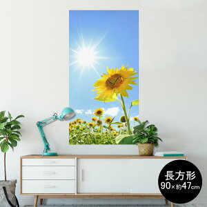 |X^[ EH[XebJ[ ` V[XebJ[  90×47cm Lsize `  CeA @ wall sticker poster 005089 Ђ܂@ʐ^@z