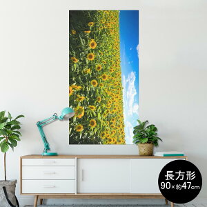 |X^[ EH[XebJ[ ` V[XebJ[  90×47cm Lsize `  CeA @ wall sticker poster 007936 ʐ^@ԁ@@@Ђ܂