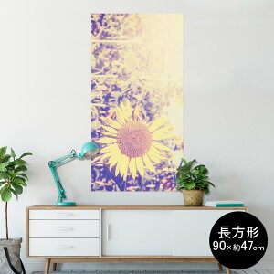 ひまわり 写真の通販 価格比較 価格 Com