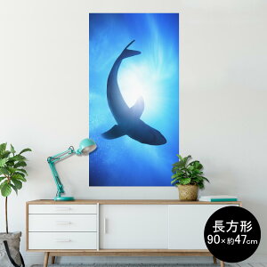 |X^[ EH[XebJ[ ` V[XebJ[  90×47cm Lsize `  CeA @ wall sticker poster 012652 @@C