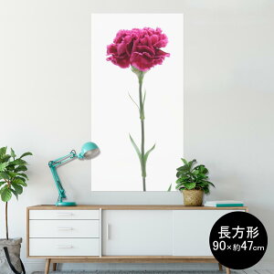 |X^[ EH[XebJ[ ` V[XebJ[  90×47cm Lsize `  CeA @ wall sticker poster 012933 ̓@J[l[V@