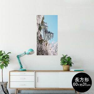 |X^[ EH[XebJ[ ` V[XebJ[  60×31cm Msize  CeA @ wall sticker poster 003277 N[ ʐ^@iF@i