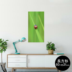 |X^[ EH[XebJ[ ` V[XebJ[  60×31cm Msize  CeA @ wall sticker poster 003604 ĂƂ@ʐ^