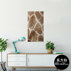 |X^[ EH[XebJ[ ` V[XebJ[  60×31cm Msize  CeA @ wall sticker poster 006215 Wt@@͗l