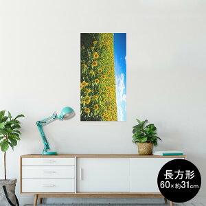 |X^[ EH[XebJ[ ` V[XebJ[  60×31cm Msize  CeA @ wall sticker poster 007936 ʐ^@ԁ@@@Ђ܂