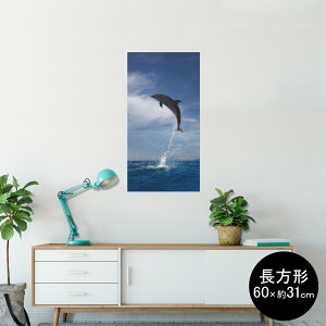 |X^[ EH[XebJ[ ` V[XebJ[  60×31cm Msize  CeA @ wall sticker poster 010965 C@CJ@ʐ^