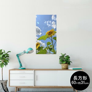 |X^[ EH[XebJ[ ` V[XebJ[  60×31cm Msize  CeA @ wall sticker poster 011366 ԁ@Ђ܂@ʐ^