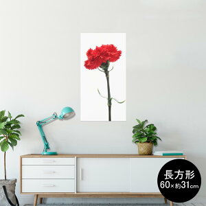 |X^[ EH[XebJ[ ` V[XebJ[  60×31cm Msize  CeA @ wall sticker poster 012928 ̓@J[l[V@