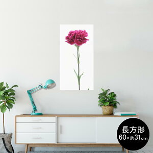 |X^[ EH[XebJ[ ` V[XebJ[  60×31cm Msize  CeA @ wall sticker poster 012933 ̓@J[l[V@