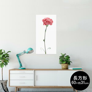 |X^[ EH[XebJ[ ` V[XebJ[  60×31cm Msize  CeA @ wall sticker poster 012937 ̓@J[l[V@