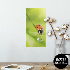 |X^[ EH[XebJ[ ` V[XebJ[  30×16cm Ssize  CeA @ wall sticker poster 000820 ĂƂ@