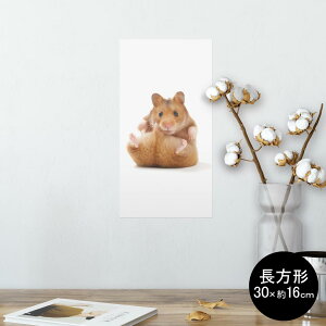 |X^[ EH[XebJ[ ` V[XebJ[  30×16cm Ssize  CeA @ wall sticker poster 001075 nX^[@
