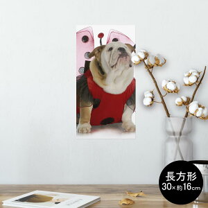 |X^[ EH[XebJ[ ` V[XebJ[  30×16cm Ssize  CeA @ wall sticker poster 001176 @ĂƂ
