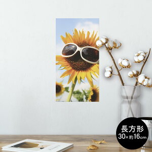|X^[ EH[XebJ[ ` V[XebJ[  30×16cm Ssize  CeA @ wall sticker poster 003152 Ђ܂@@ʐ^
