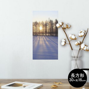 |X^[ EH[XebJ[ ` V[XebJ[  30×16cm Ssize  CeA @ wall sticker poster 003272 ʐ^@iF@i