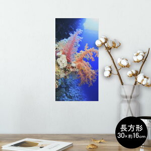 |X^[ EH[XebJ[ ` V[XebJ[  30×16cm Ssize  CeA @ wall sticker poster 003341 C@ʐ^@iF@i