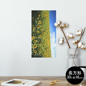 |X^[ EH[XebJ[ ` V[XebJ[  30×16cm Ssize  CeA @ wall sticker poster 007936 ʐ^@ԁ@t[@@Ђ܂