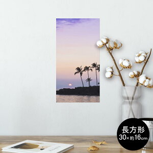|X^[ EH[XebJ[ ` V[XebJ[  30×16cm Ssize  CeA @ wall sticker poster 009393 i@iF@ʐ^