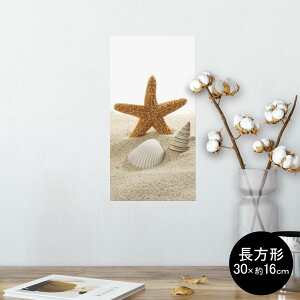 |X^[ EH[XebJ[ ` V[XebJ[  30×16cm Ssize  CeA @ wall sticker poster 009536 Lk@C@ʐ^