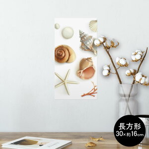 |X^[ EH[XebJ[ ` V[XebJ[  30×16cm Ssize  CeA @ wall sticker poster 009662 Lk@C@l