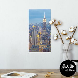 |X^[ EH[XebJ[ ` V[XebJ[  30×16cm Ssize  CeA @ wall sticker poster 010345 i@iF@ʐ^