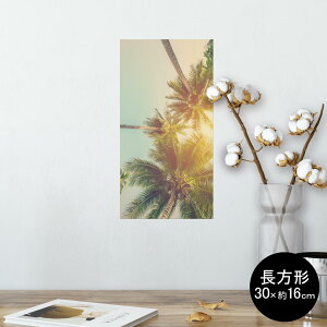 |X^[ EH[XebJ[ ` V[XebJ[  30×16cm Ssize  CeA @ wall sticker poster 010529 V̖؁@i