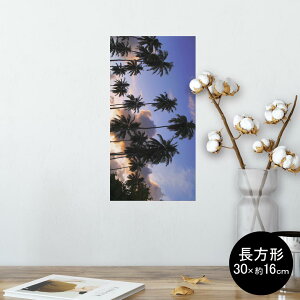 |X^[ EH[XebJ[ ` V[XebJ[  30×16cm Ssize  CeA @ wall sticker poster 010821 V̖؁@@ʐ^