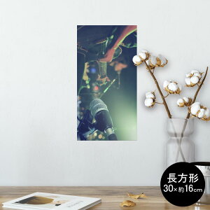 |X^[ EH[XebJ[ ` V[XebJ[  30×16cm Ssize  CeA @ wall sticker poster 012493 M^[@}CN@ʐ^