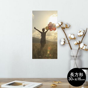 |X^[ EH[XebJ[ ` V[XebJ[  30×16cm Ssize  CeA @ wall sticker poster 012619 D@ʐ^@i