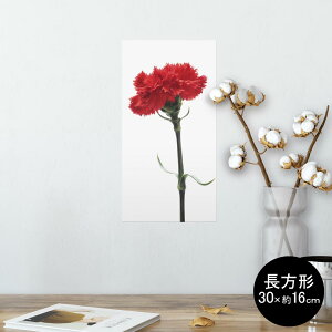 |X^[ EH[XebJ[ ` V[XebJ[  30×16cm Ssize  CeA @ wall sticker poster 012928 ̓@J[l[V@