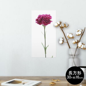 |X^[ EH[XebJ[ ` V[XebJ[  30×16cm Ssize  CeA @ wall sticker poster 012933 ̓@J[l[V@