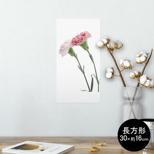 |X^[ EH[XebJ[ ` V[XebJ[  30×16cm Ssize  CeA @ wall sticker poster 012938 ̓@J[l[V@