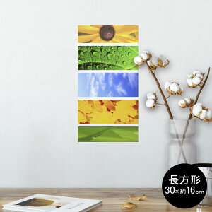 |X^[ EH[XebJ[ ` V[XebJ[  30×16cm Ssize  CeA @ wall sticker poster 014084 ā@Ђ܂@