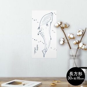 |X^[ EH[XebJ[ ` V[XebJ[  30×16cm Ssize  CeA @ wall sticker poster 014742 C@NW@