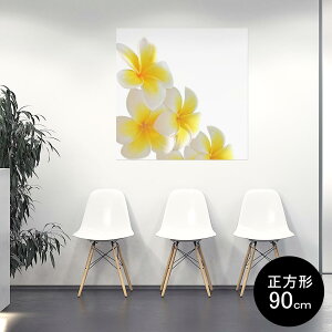 プルメリア シールの人気商品 通販 価格比較 価格 Com