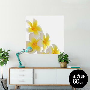 |X^[ EH[XebJ[ V[XebJ[  90×90cm Lsize `  CeA @ wall sticker poster 001027 ԁ@vA