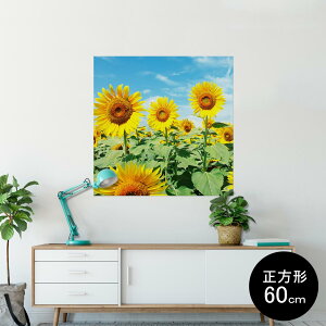 |X^[ EH[XebJ[ V[XebJ[  90×90cm Lsize `  CeA @ wall sticker poster 002501 ԁ@Ђ܂@ʐ^